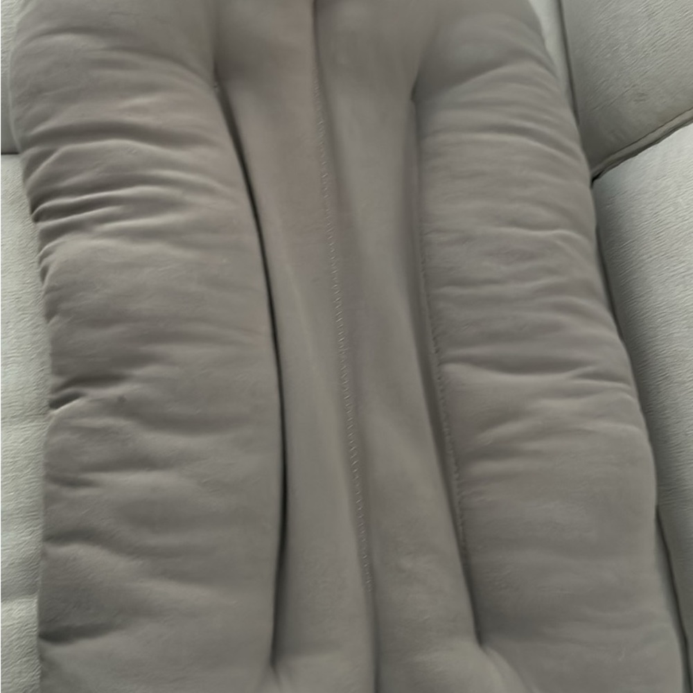Snuggle me Gray Plush Cushion